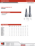 JONNESWAY - S09H4304 - HER-JW-2470 - HERRAMIENTA MANUAL - CUBOS Y ACCESORIOS - CUBOS CON PUNTA ALLEN - CUBO ALLEN LARGO ESPIGA 1/2" - 4 MM - 4 MM